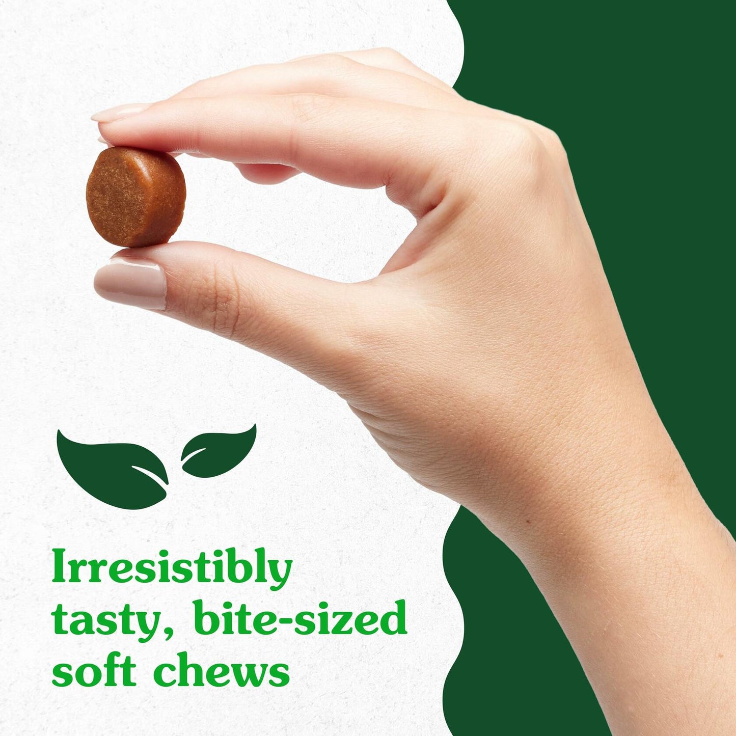 2/25 Greenies Supplements Hip and Joint Supplements for Dogs, Chicken Flavor,
