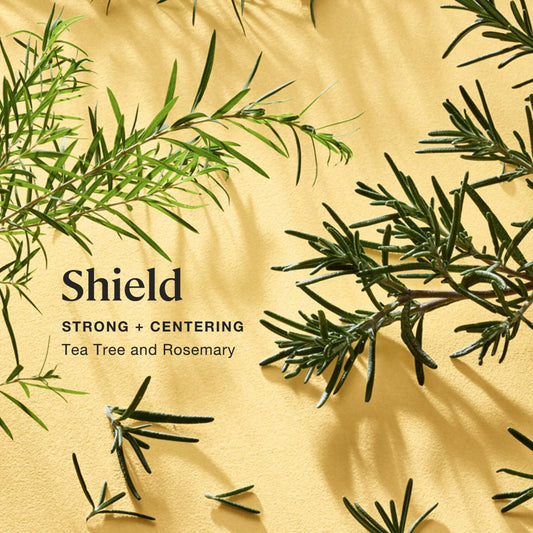 Sprig by Kohler Shield Aromatherapy Candle with Tea Tree and Rosemary - 8 oz