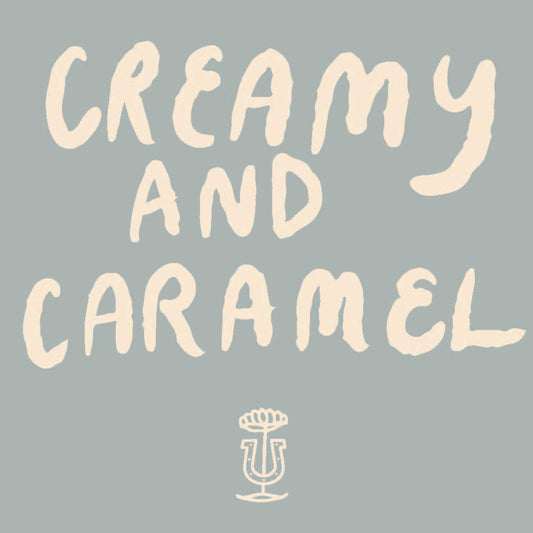 Stumptown Holler Mountain Organic Whole Bean Coffee 18oz Medium Roast