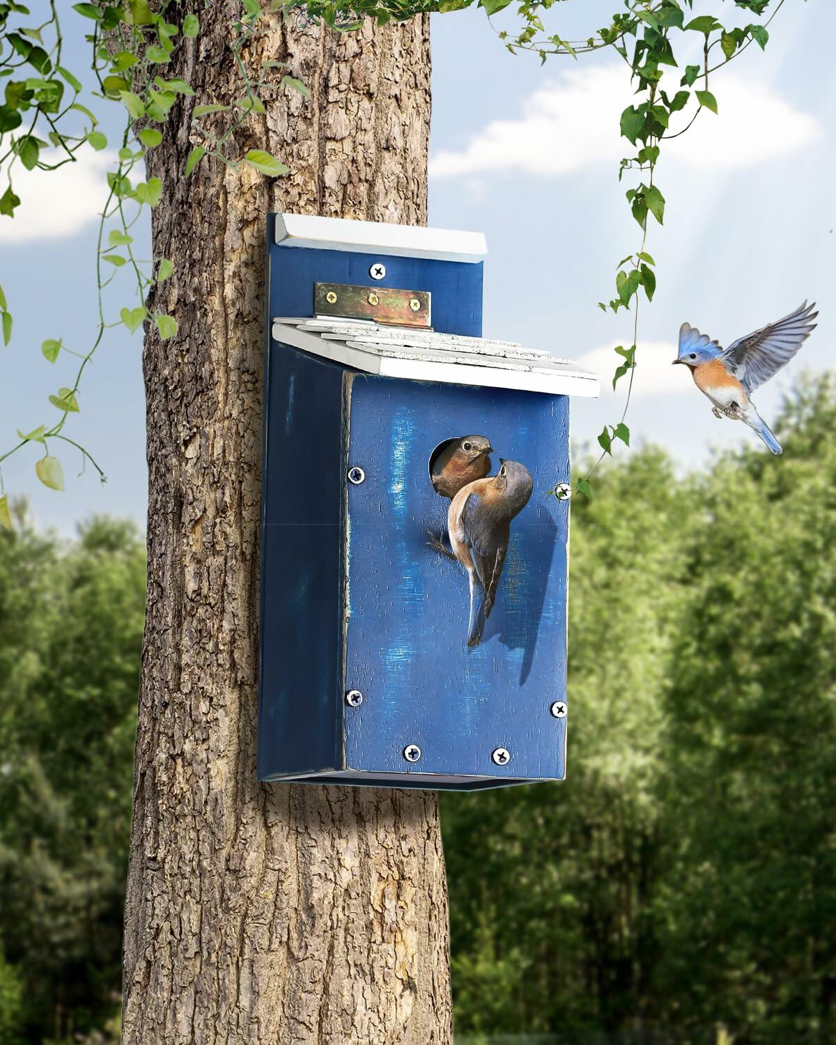 American Sky Bluebird House Oak Shingles Roof UV Resistant Outdoor