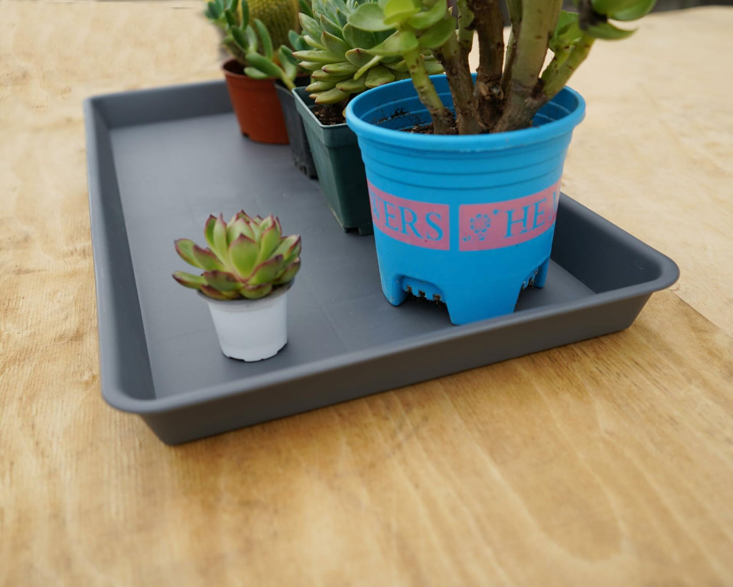 VUWEZ Plant Saucer Tray 11x9 inch, 1 Pack, Heavy Sturdy Plastic Drainage Tray