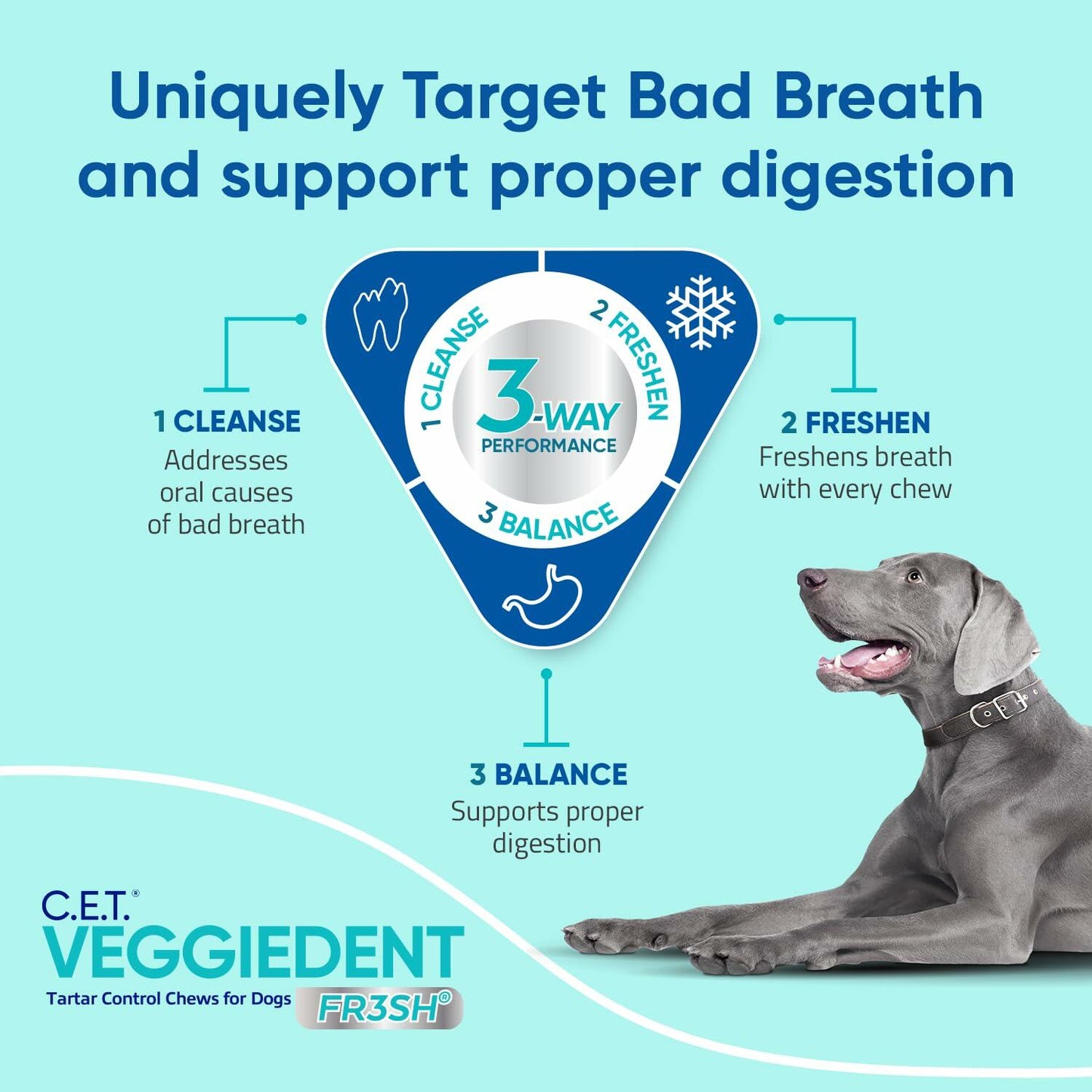 BB05/26 Virbac Veggiedent FR3SH Tartar Control Chews Small Dog 30 Count