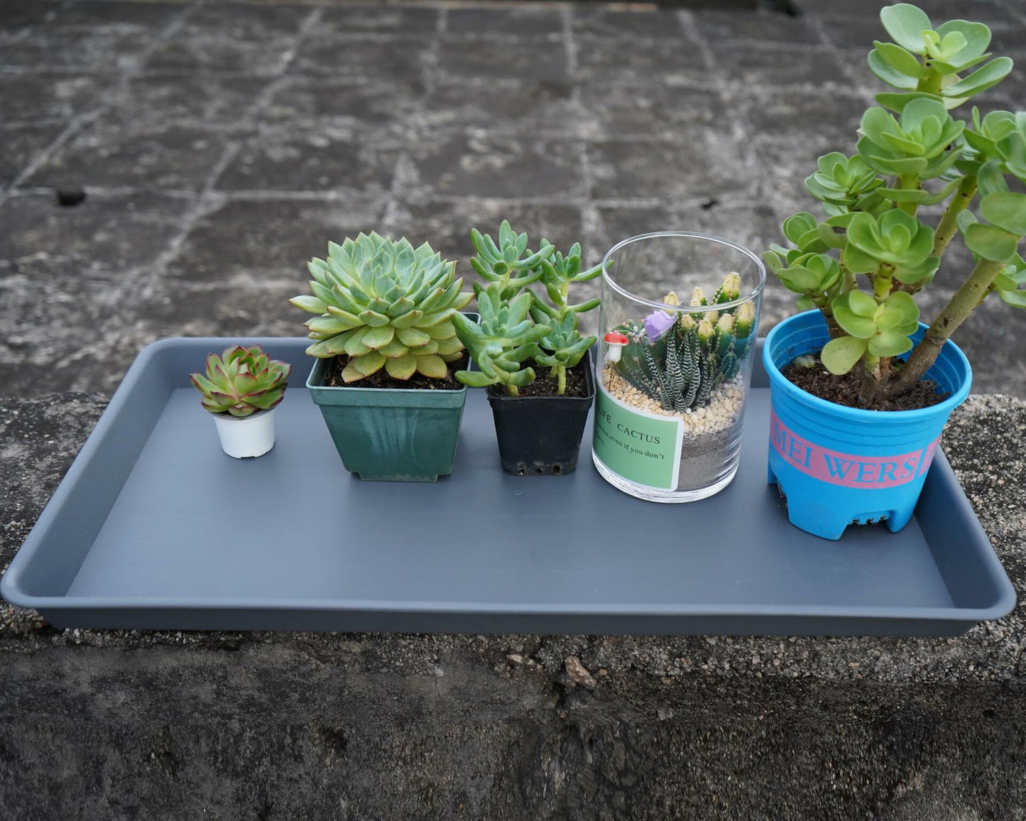 VUWEZ Plant Saucer Tray 11x9 inch, 1 Pack, Heavy Sturdy Plastic Drainage Tray