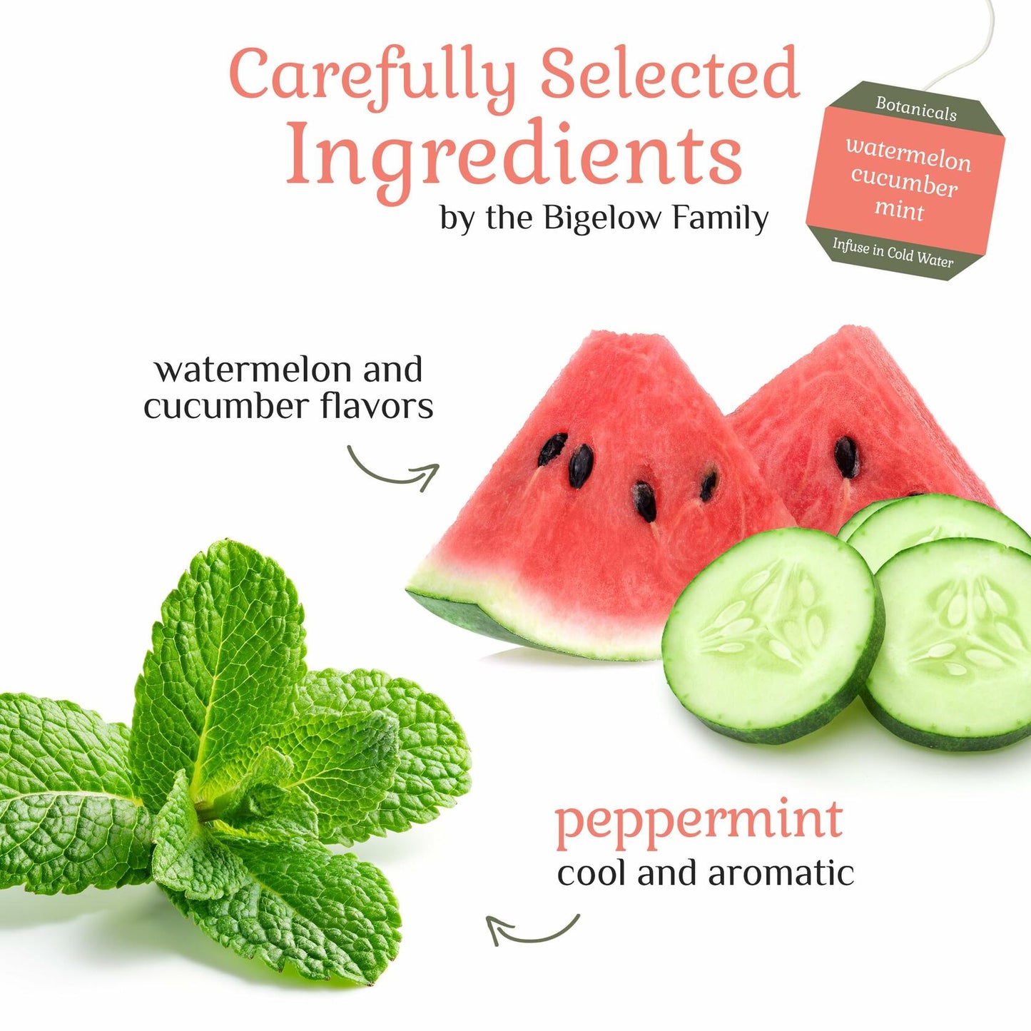 BB05/26 Bigelow Botanicals Watermelon Cucumber Mint Herbal Tea 108 Bags Pack 6