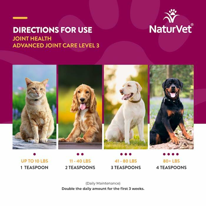 BestBy02/27 NaturVet Advanced Care Joint Health Soft Chews for Dogs & Cats 120ct