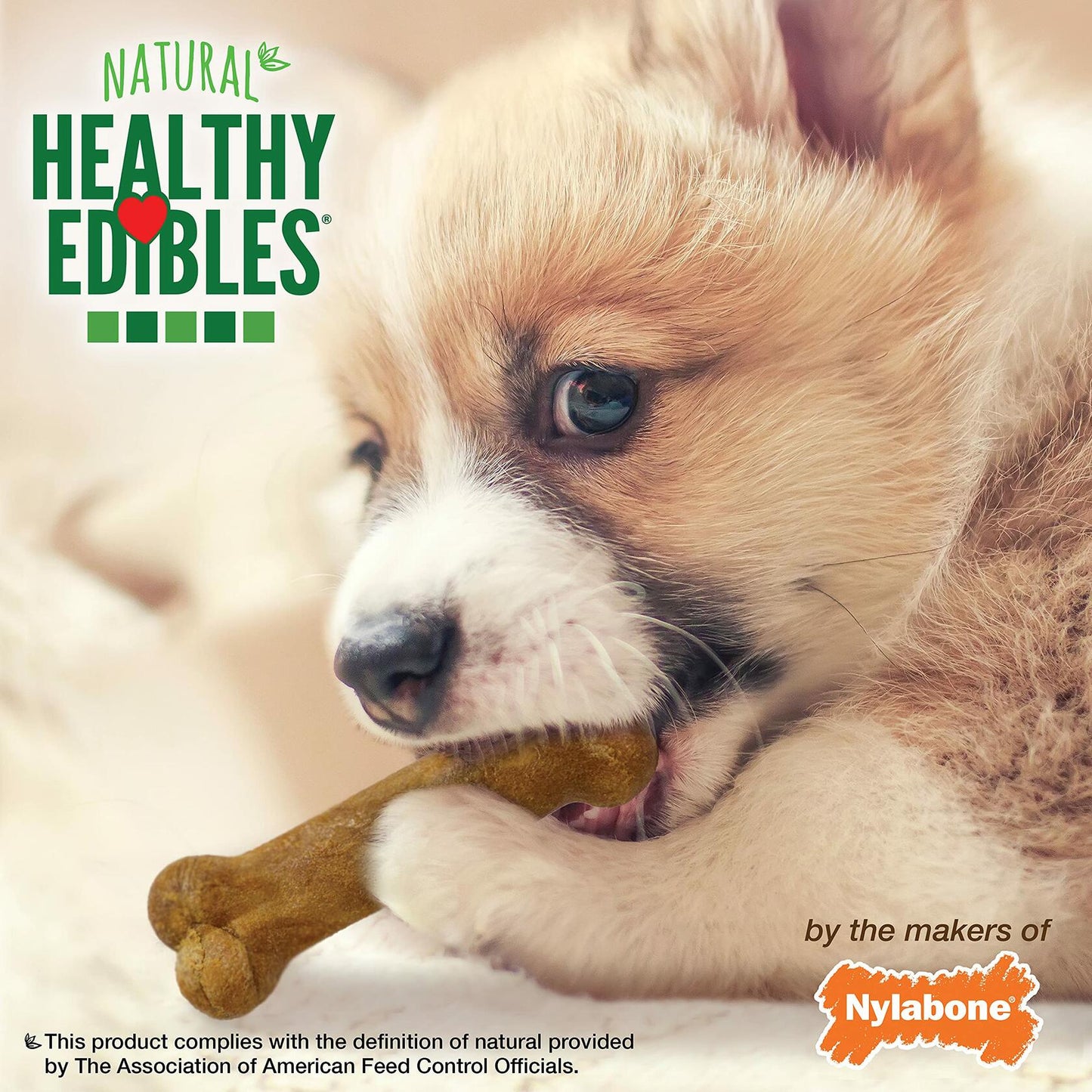 BestBy07/27 Nylabone Healthy Edibles Puppy Chews X-Small 3 Count Roast Beef