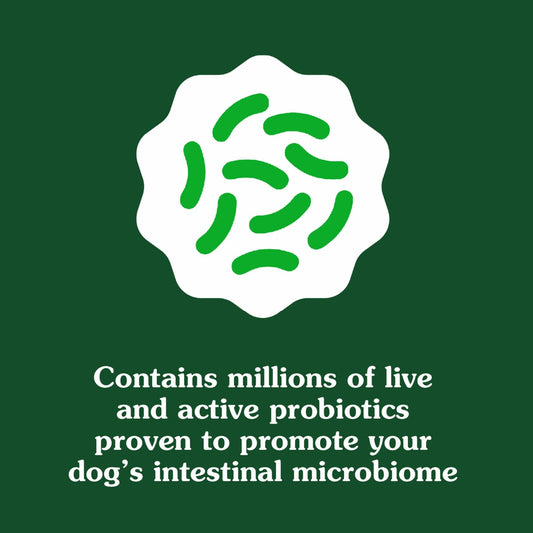 BestBy01/25 Greenies Digestive Health Probiotics DogTreats Chicken 7.8oz 40ct