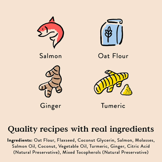 BestBy01/25 Bocce's Bakery Good Hair Dog Treats Salmon 6oz Soft Chewy Wheat-Free