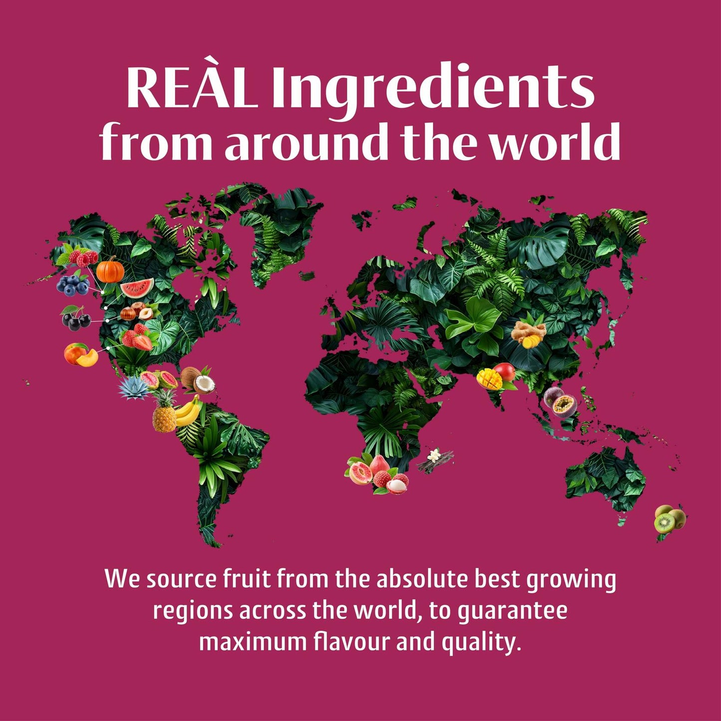 Real Infused Exotics Raspberry Syrup 16.9 fl oz Puree Squeezable Bottle