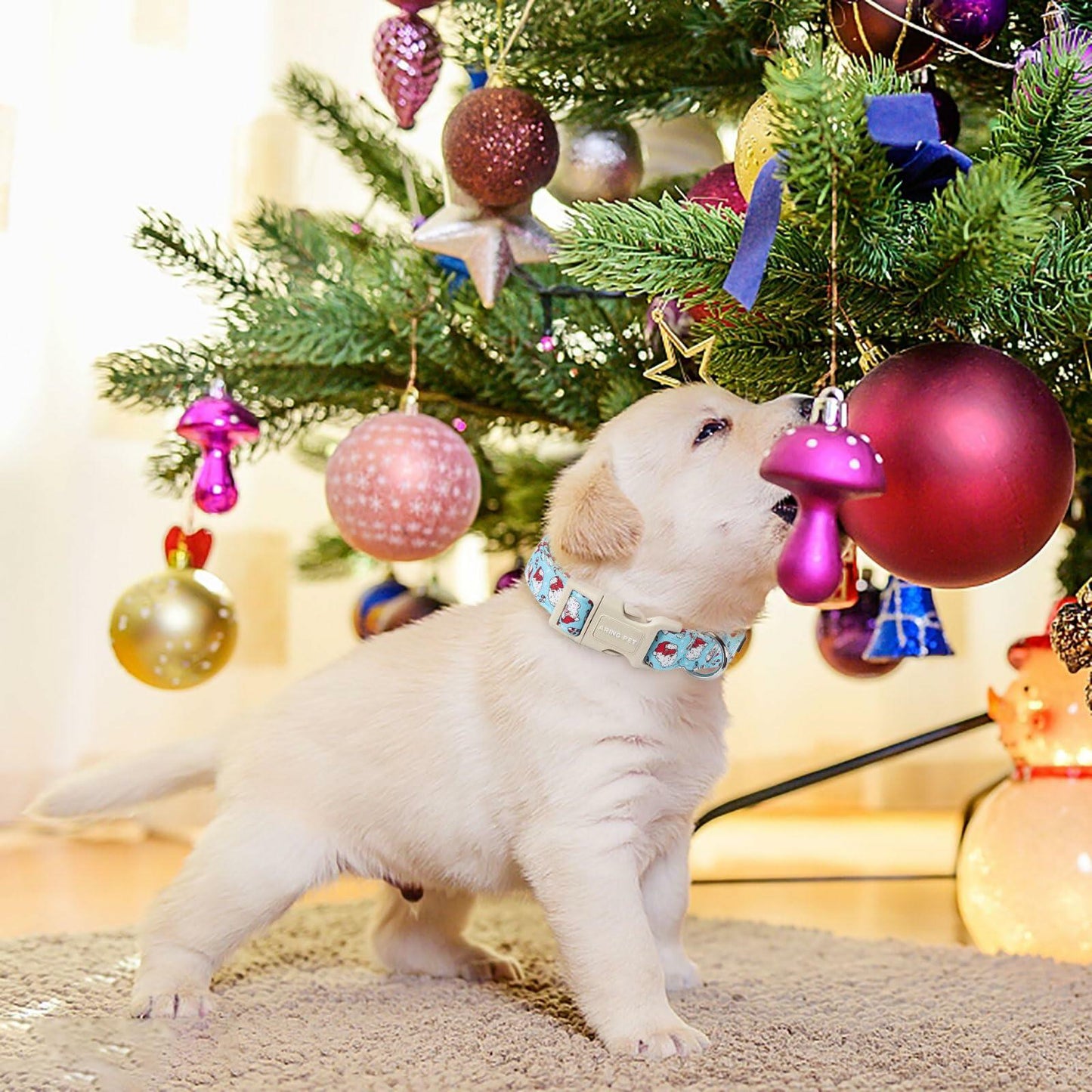 ARING PET Christmas Dog Collar Blue Adjustable Cotton Quick Release Puppy Collar