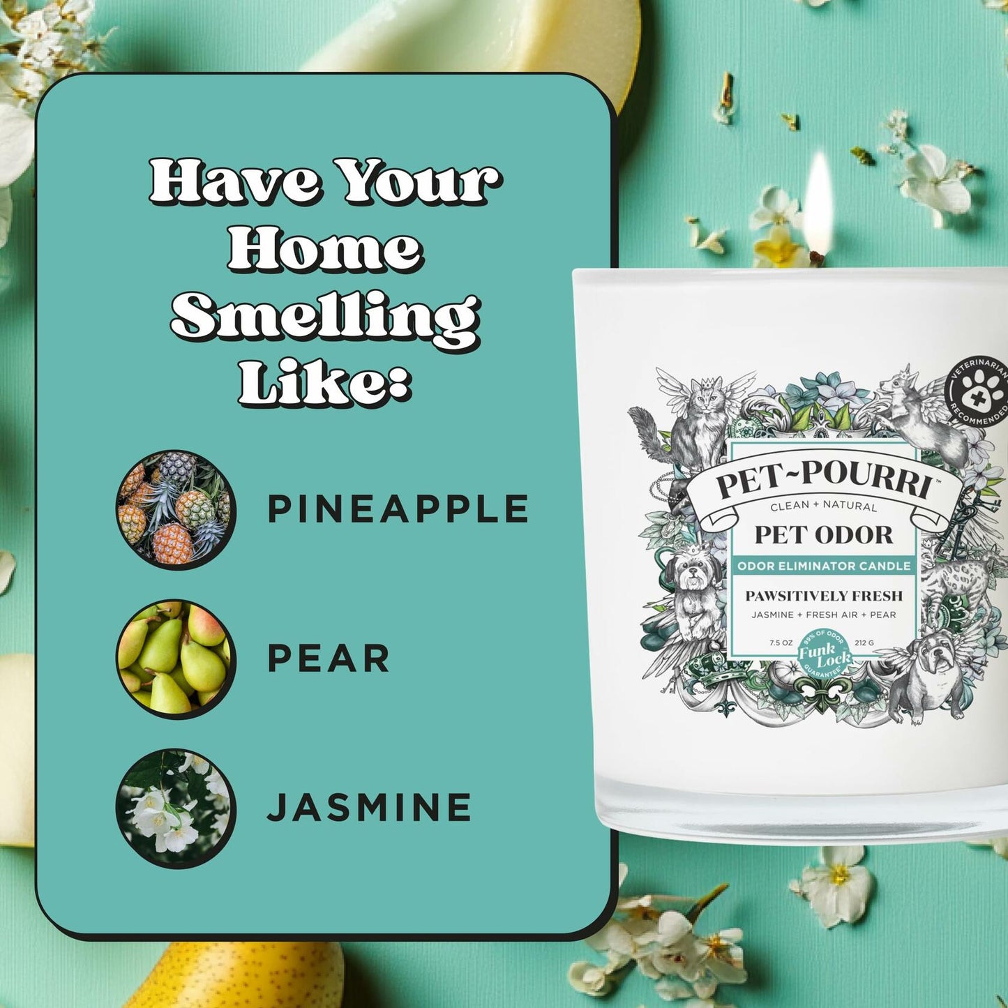 Pet-Pourri Pawsitively Fresh Pet Deodorizer Candle 7.5oz Vet Approved