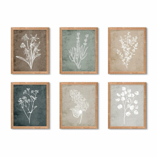 Vintage Framed Botanical Prints Set of 6 9.9x11.8in Brown Wood Frames