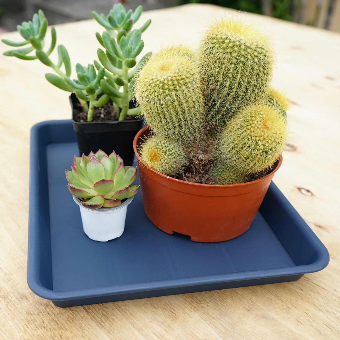 VUWEZ Plant Saucer Tray 11x9in, Heavy Sturdy Plastic Drainage Tray, 1 Pack