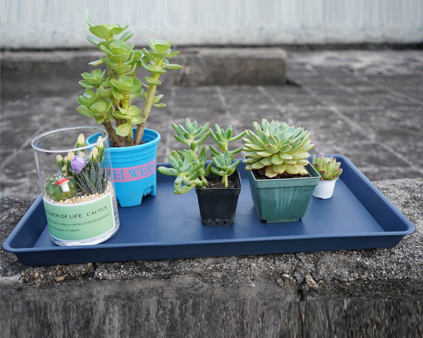 VUWEZ Plant Saucer Tray 11x9in, Heavy Sturdy Plastic Drainage Tray, 1 Pack