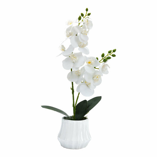 Angerlo 13" White Artificial Butterfly Orchid Ceramic Vase Decor