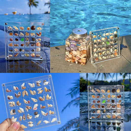 GKBYN Acrylic Shell Storage Box Display Cabinet Transparent Small