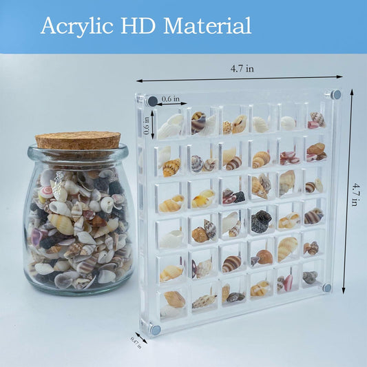 GKBYN Acrylic Shell Storage Box Display Cabinet Transparent Small