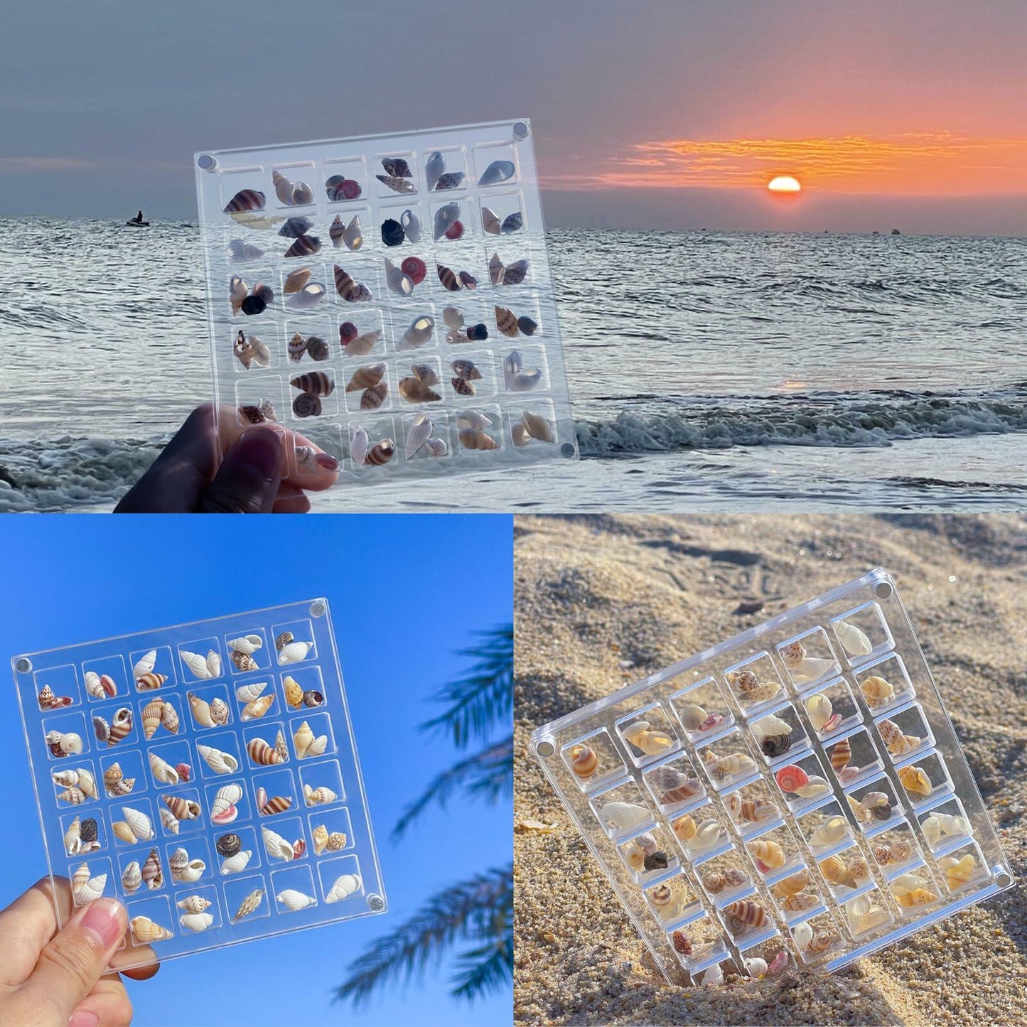 GKBYN Acrylic Shell Storage Box Display Cabinet Transparent Small