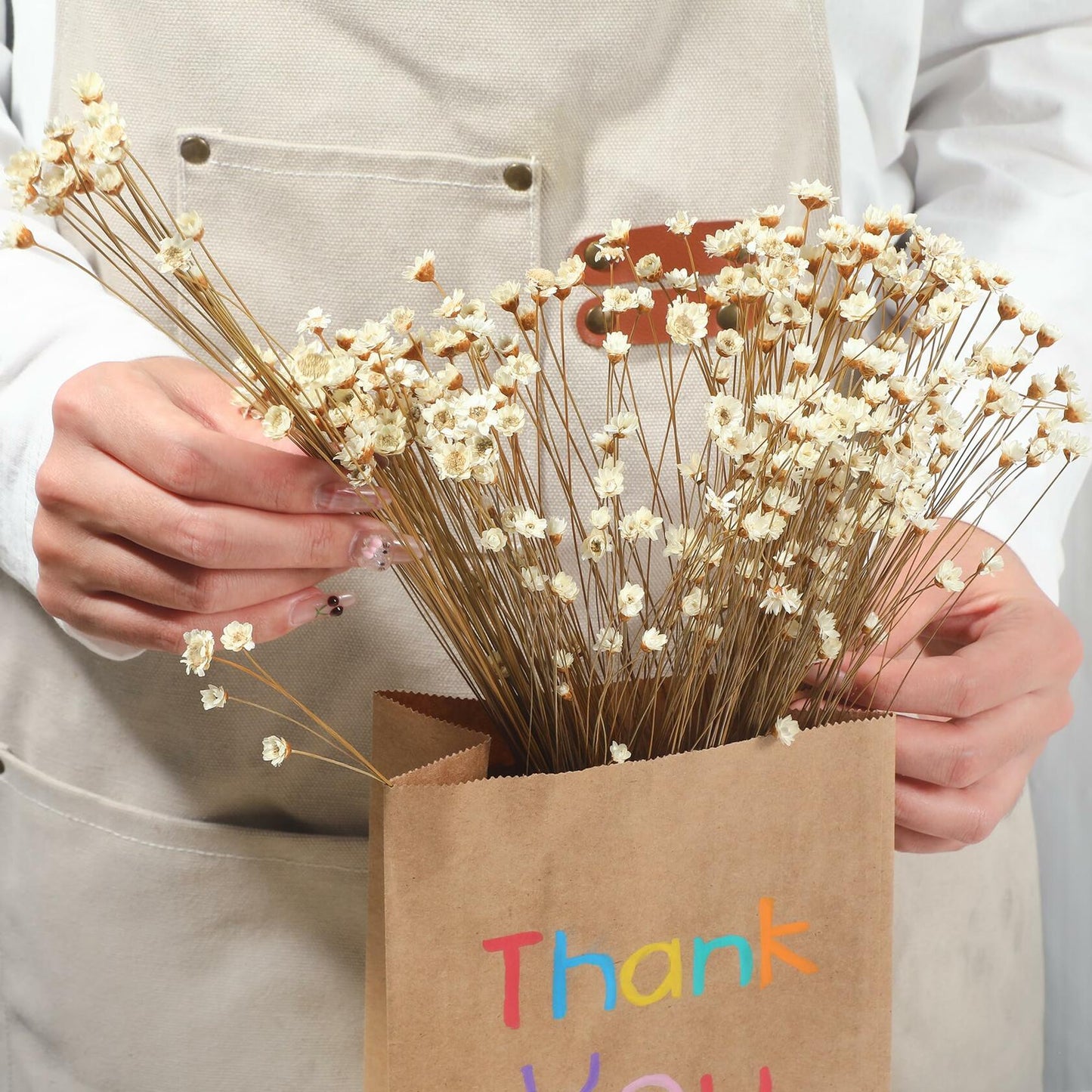 Dried Daisy Flowers Brazilian Small Star Mini Chamomile White Wedding Decor