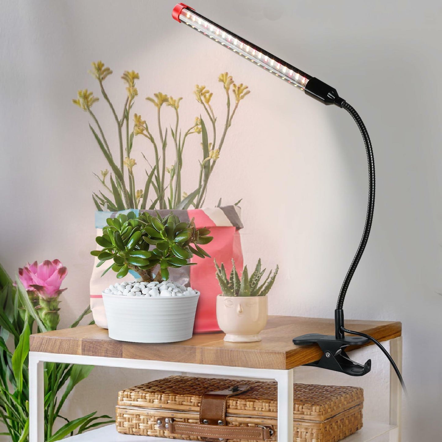 FECiDA 2Pack 9W LED Plant Grow Lights with Timer Clip for Indoor Plants