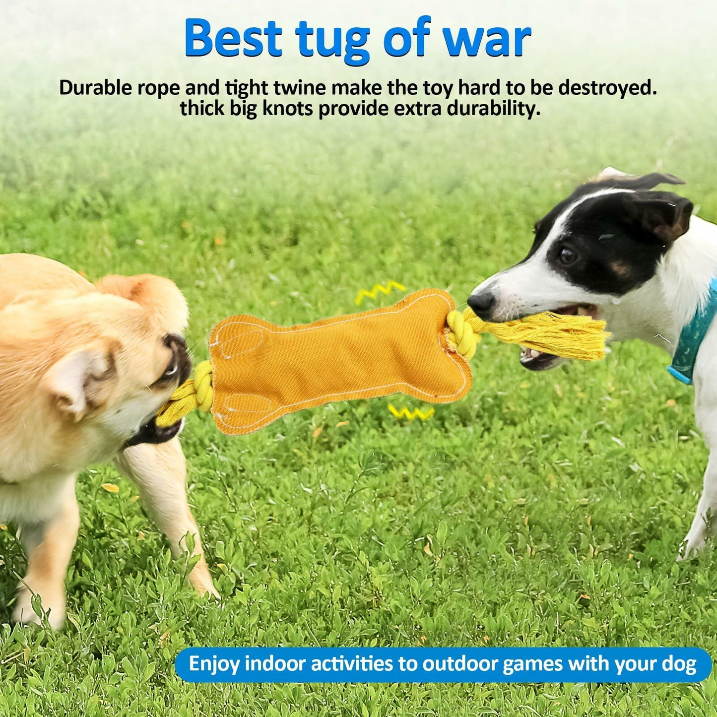 BENTOPAL Interactive Squeaky Dog Bone Toy Motion Activated Small Puppy