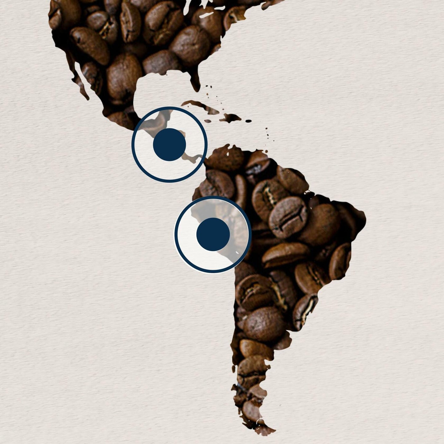 BestBy06/25 Lavazza Rifle Paper Co Holiday Blend Ground Coffee Medium Roast