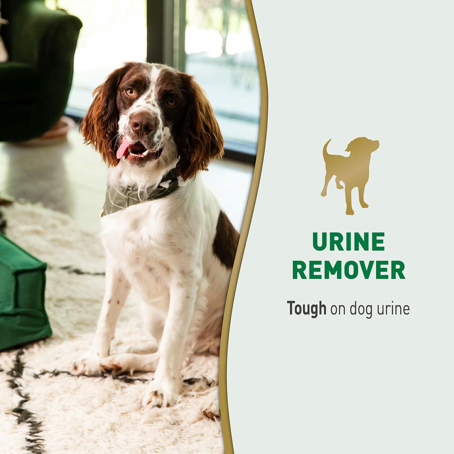 Nature's Miracle Dog Urine Remover Enzymatic Formula 24oz