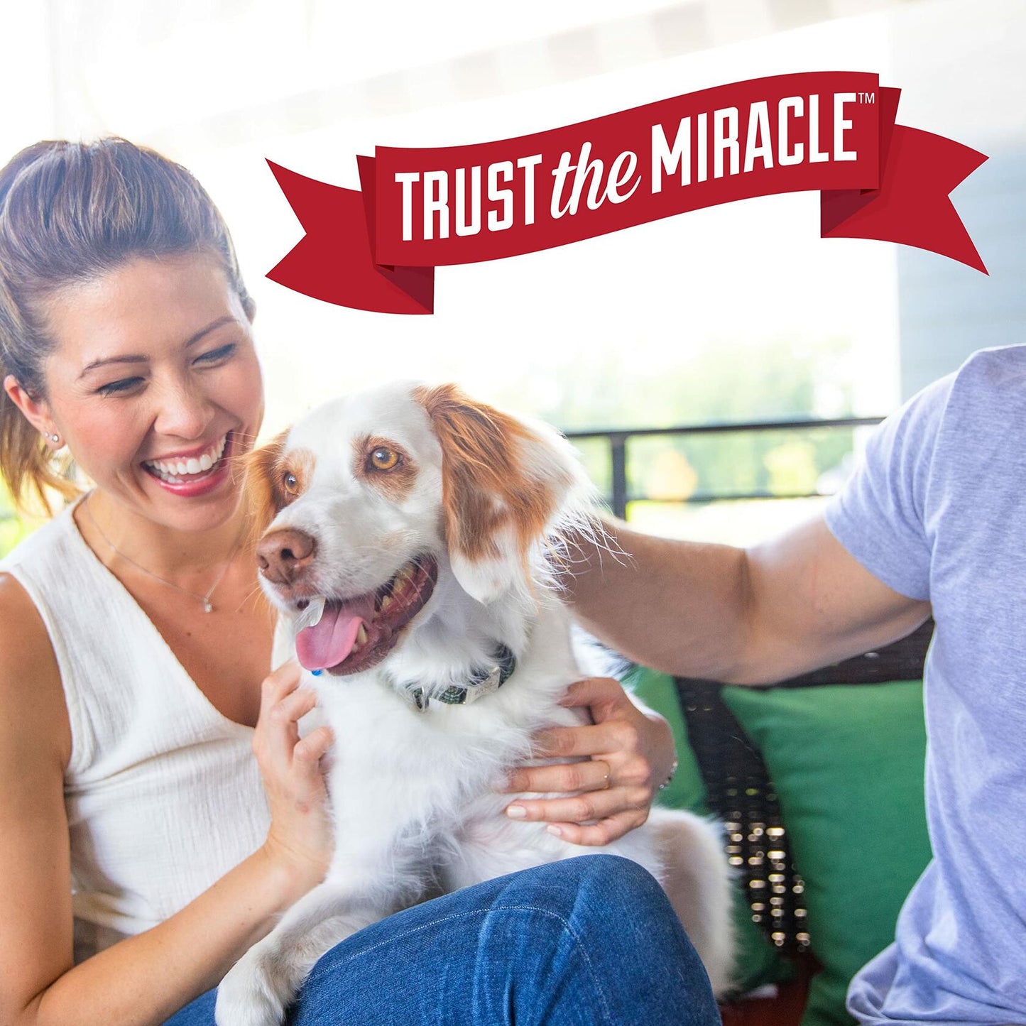 Nature's Miracle Dog Urine Remover Enzymatic Formula 24oz