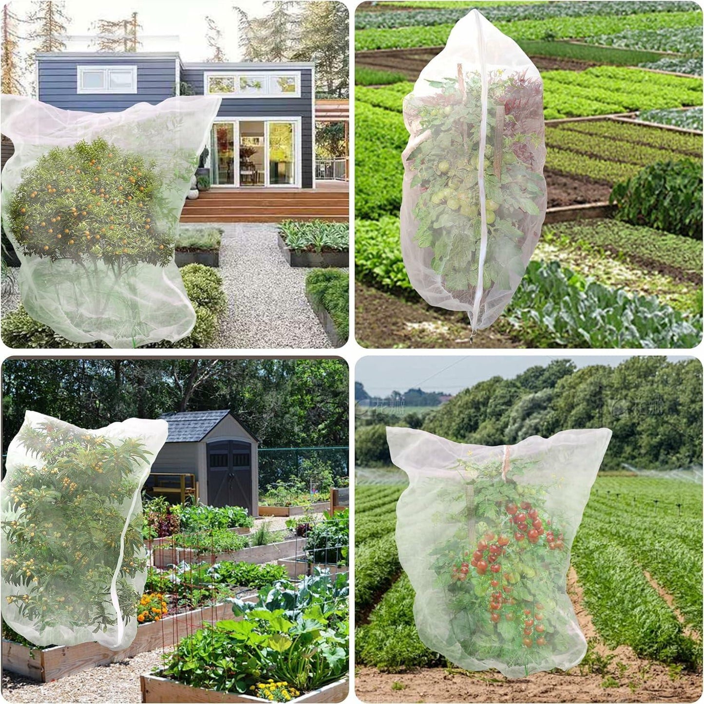 Fruit Tree Netting Cover 6 Pack 5.9x5.9 ft Ultra Fine Mesh Black Garden Netting