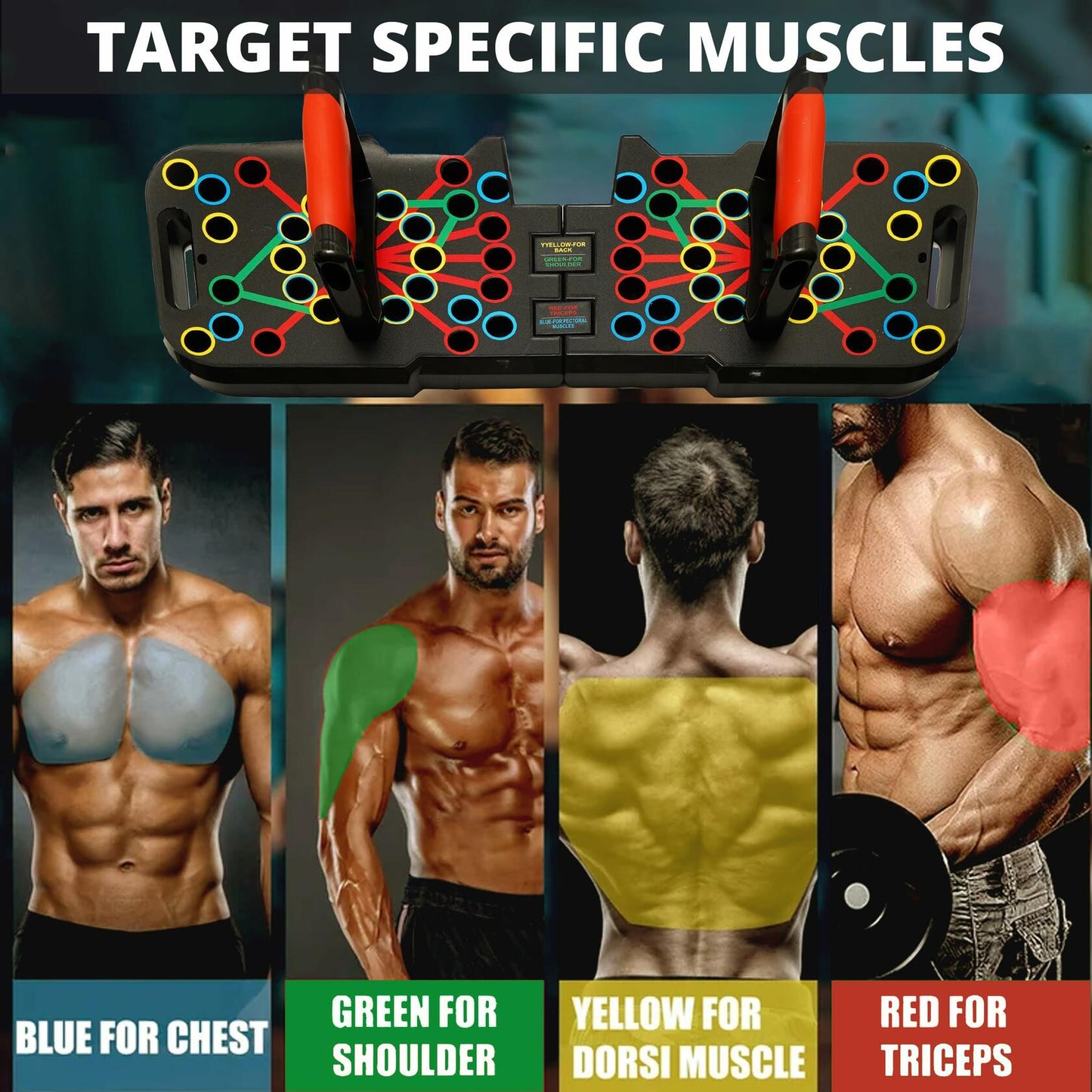ACTIVE APEX Foldable Push Up Board 60+ Color Code Multi-Functional Gym