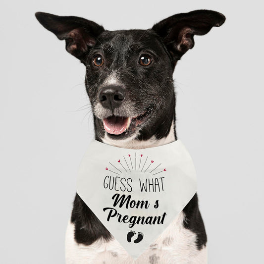 Guess Pregnancy Announcement Dog Bandana Christmas Pet Accessory