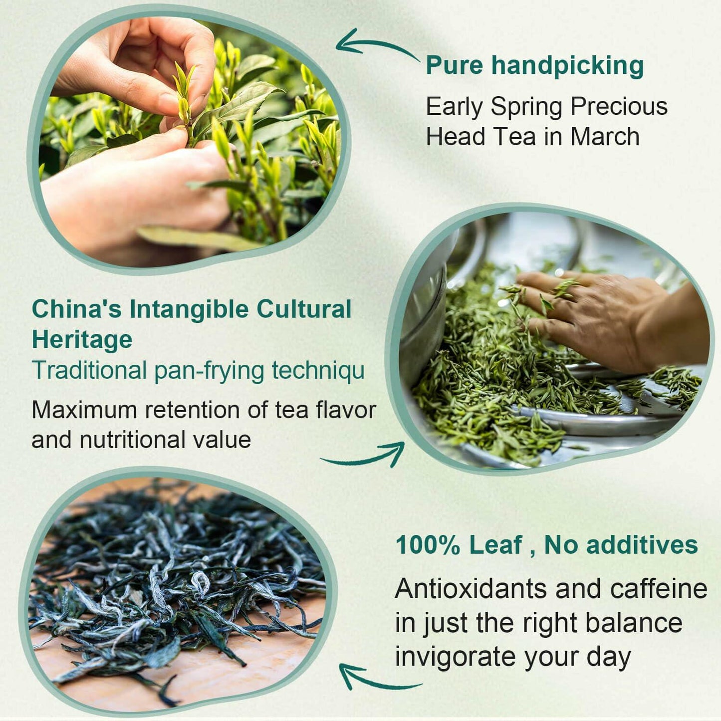 BestBy09/25 Roio Premium Loose Green Tea Whole Leaf Low Caffeine 50 Packets