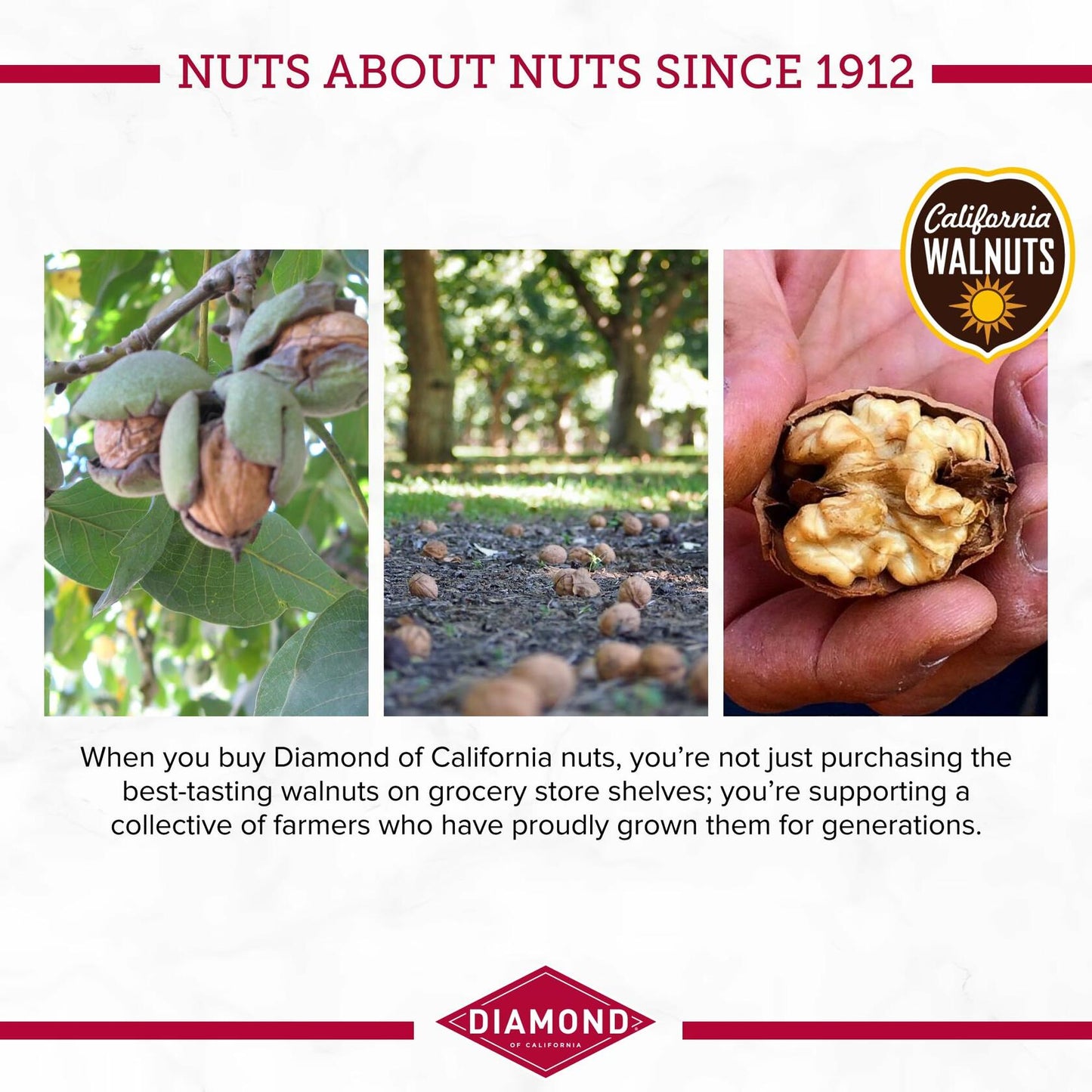 Diamond of California Finely Diced Walnuts 10oz 12 Pack