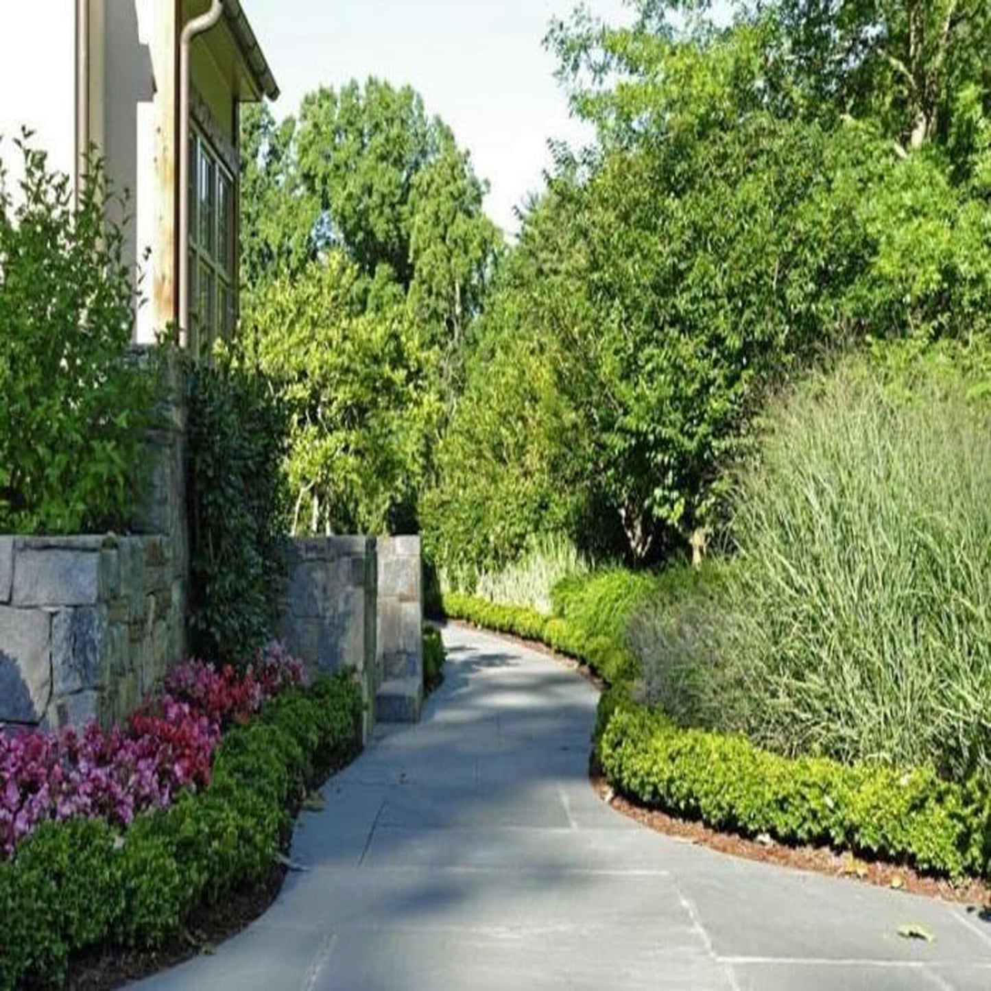 Asoleo Garden Landscape Stakes 10in 60pcs Anchoring Edging Coil Barrier