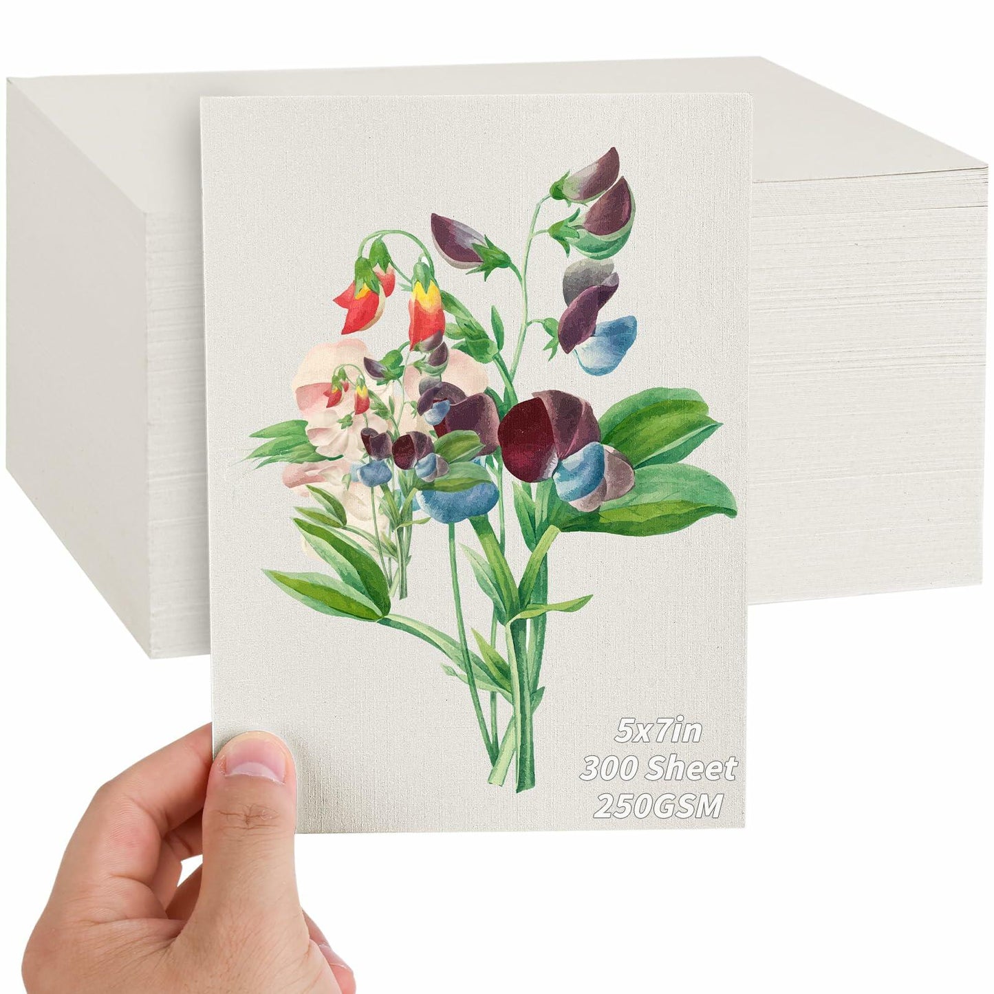Invitation Cream Cardstock 300 Sheets 300GSM 5x7 inch Painting & Craft Paper