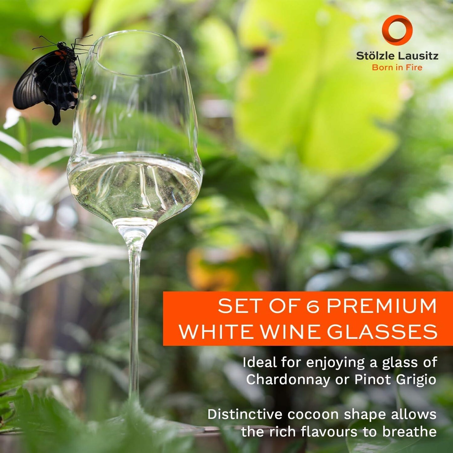 Stölzle Lausitz Cocoon White Wine Glass Set of 6 16.5oz Crystal Clear