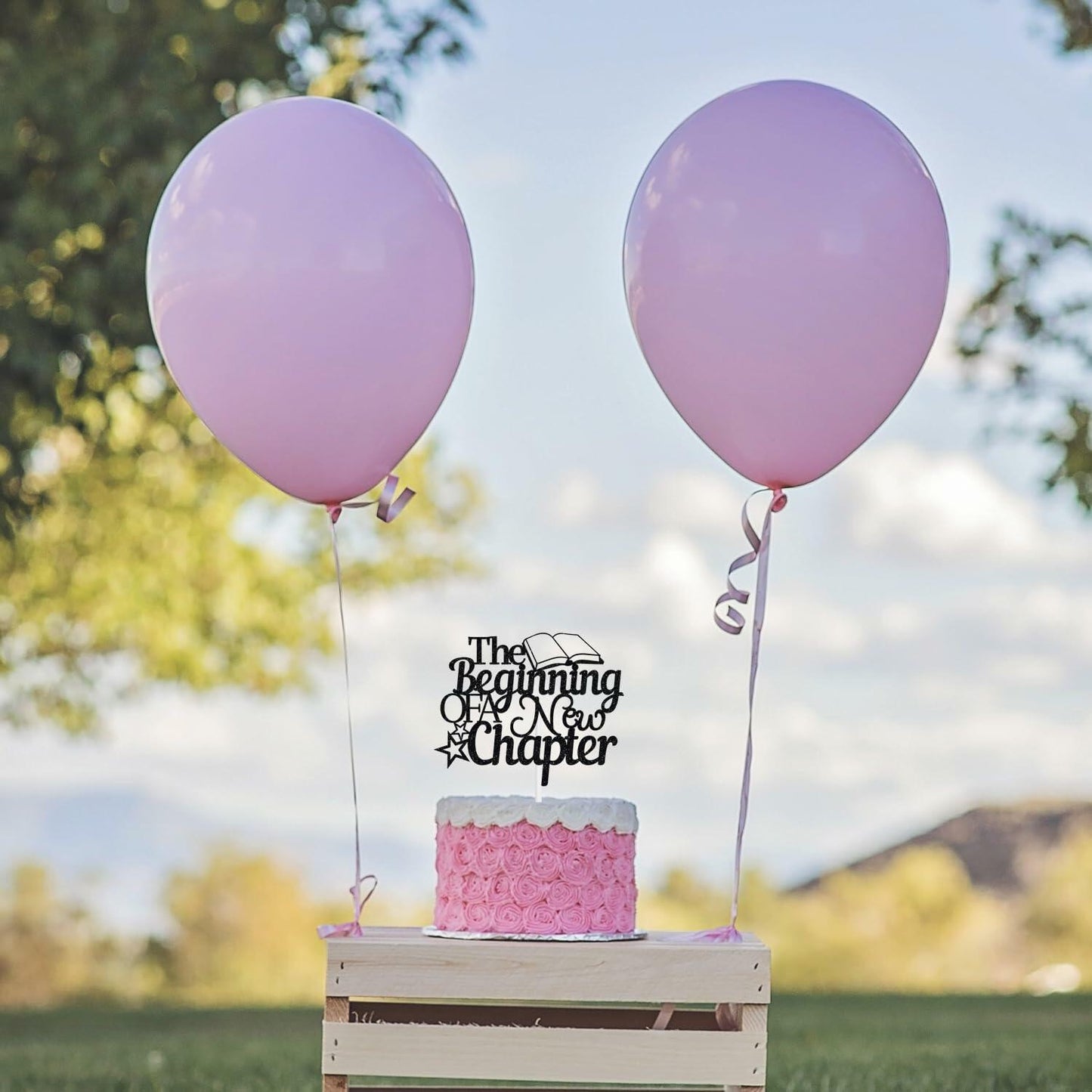 The Beginning of A New Chapter Cake Topper Black Glitter