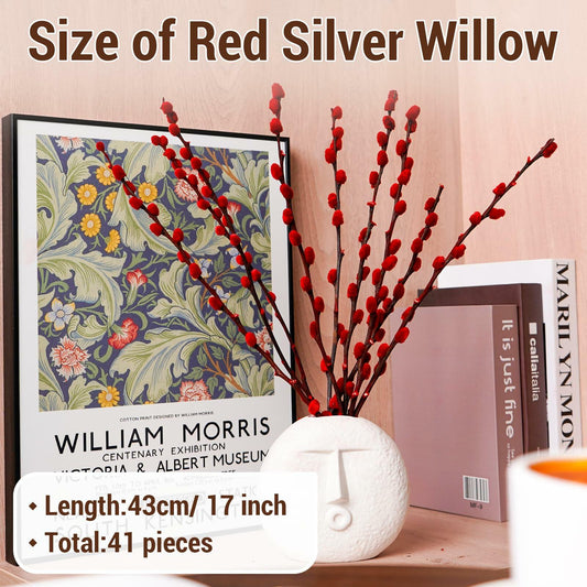 40pcs Red Pussy Willow Branches 17.5in Dried Flowers for Home Decor
