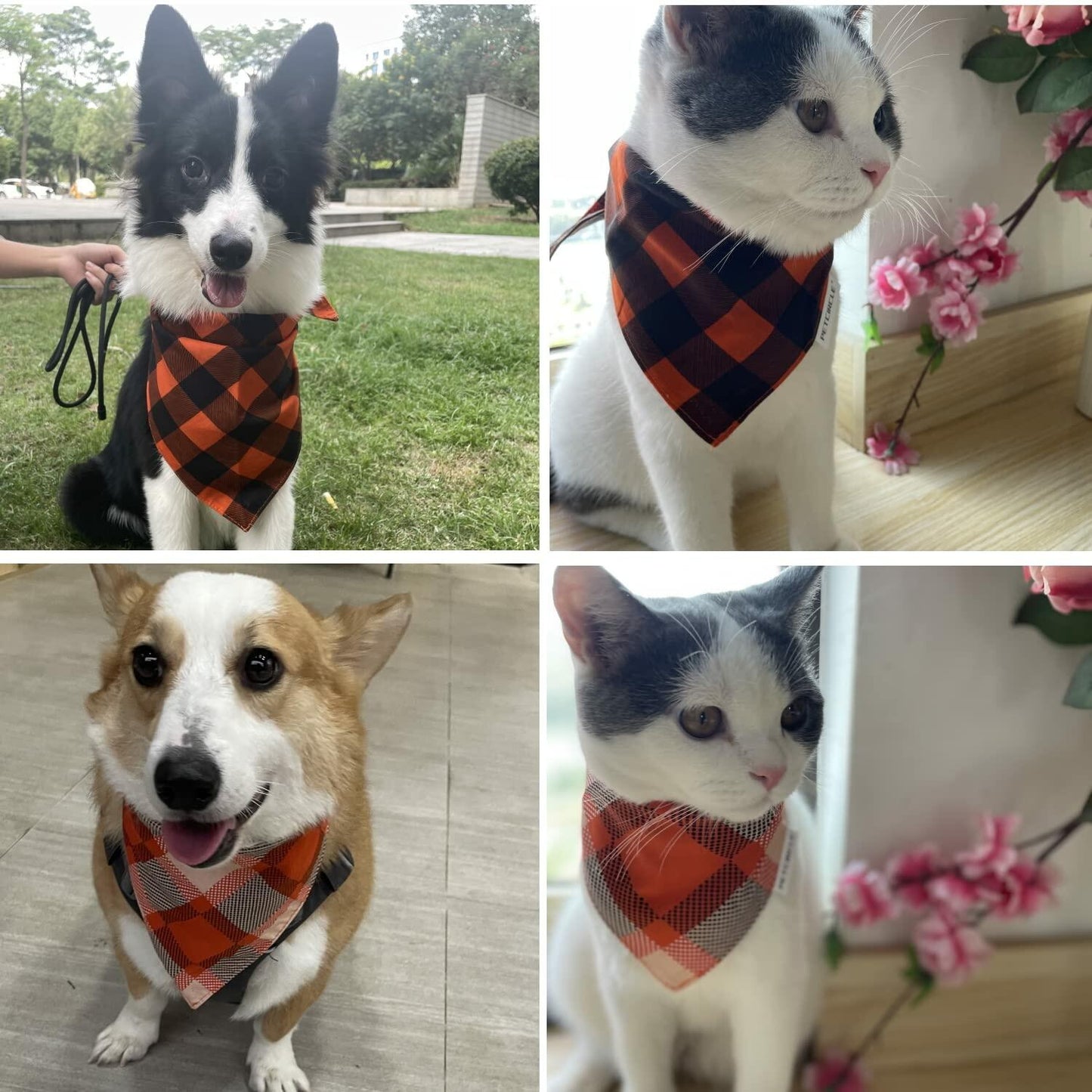 2 Pack Fall Dog Bandanas – Birthday Pet Scarf for Dogs & Cats, Orange L