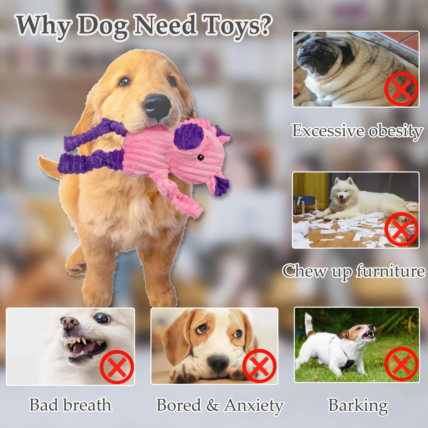 LECHONG 5 Pack Tough Stuffed Squeaky Dog Toys Plush Assortment Bundle
