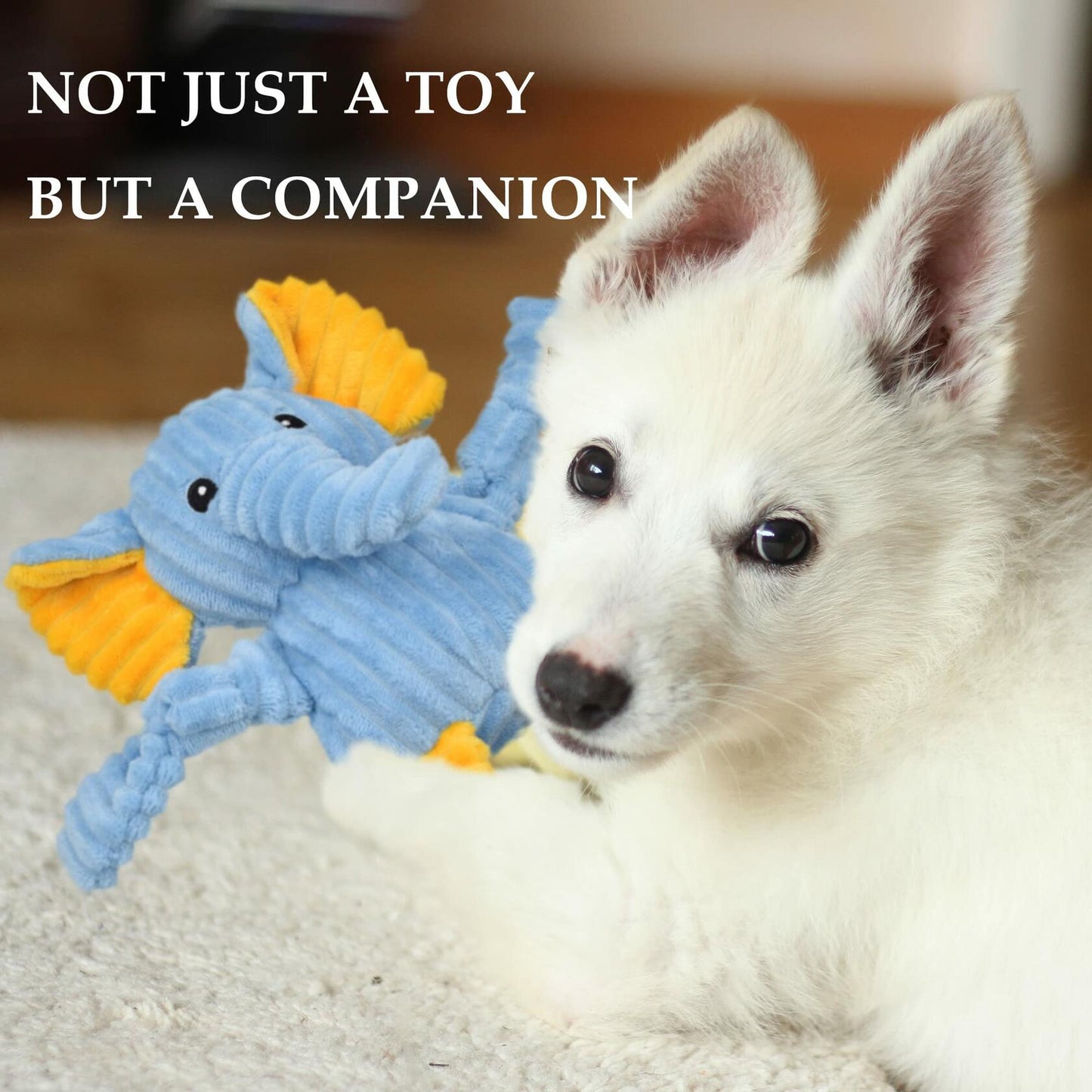 LECHONG 5 Pack Tough Stuffed Squeaky Dog Toys Plush Assortment Bundle