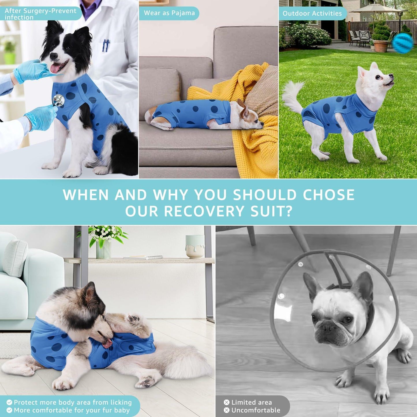 Medium Dog Surgery Recovery Suit Male Female Pee Hole Blue Heart Size M