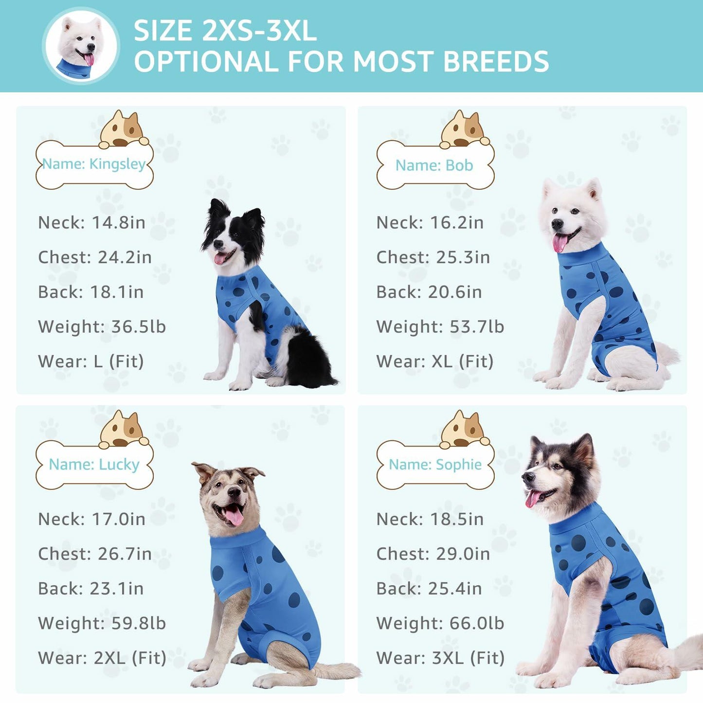 Medium Dog Surgery Recovery Suit Male Female Pee Hole Blue Heart Size M