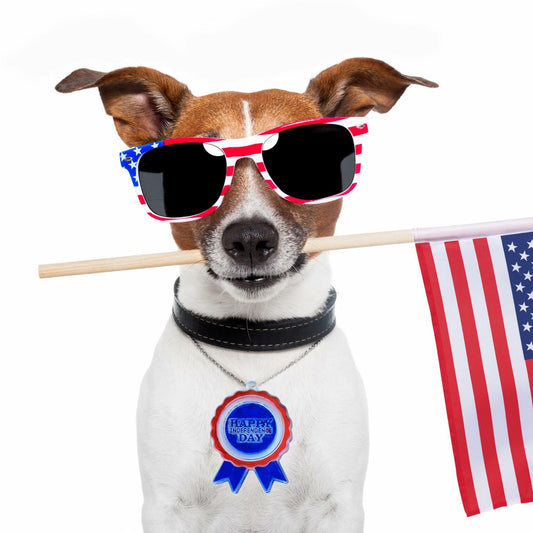 Ysqool American Badge Keychain Mold Silicone Blue DIY Cake Decoration