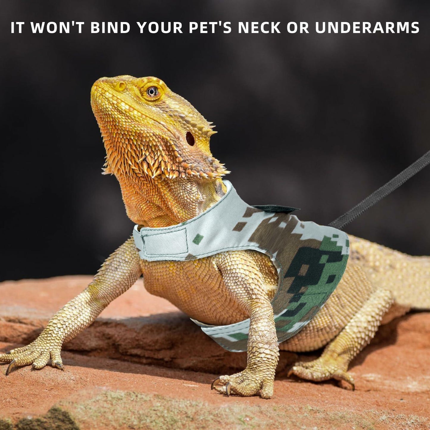 AnoleAir Bearded Dragon Adjustable Harness and Leash Green