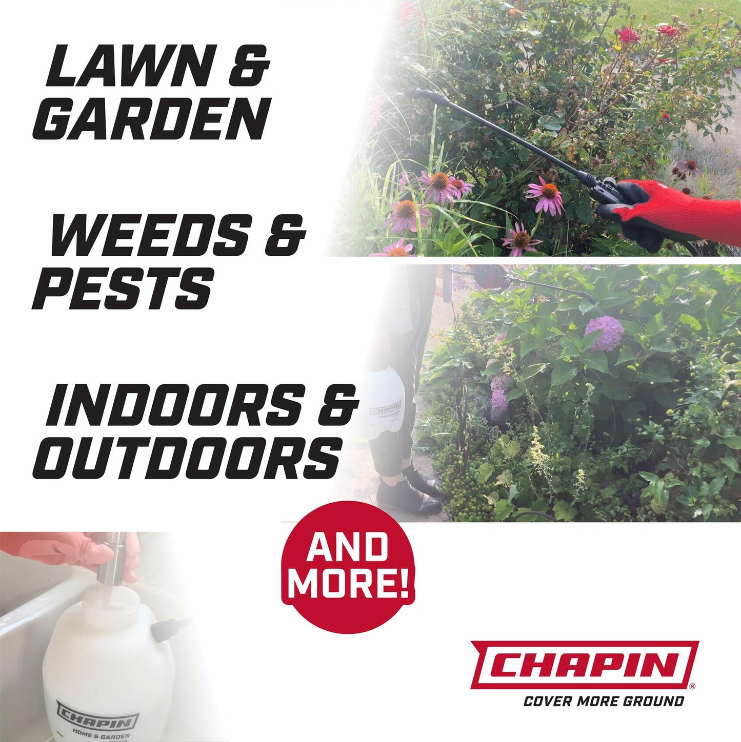 Chapin International 16109 1-Gallon Lawn Garden Pump Sprayer 2-Pack White