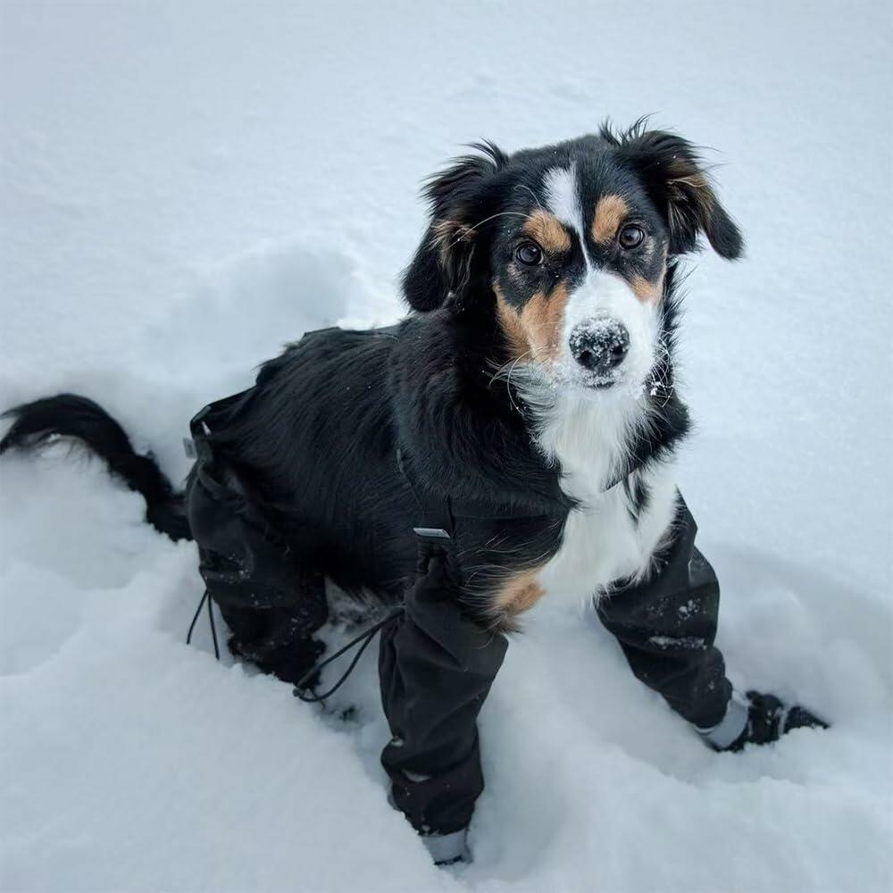 Dog Suspender Boots Anti-Slip Winter Hiking Black Size Large