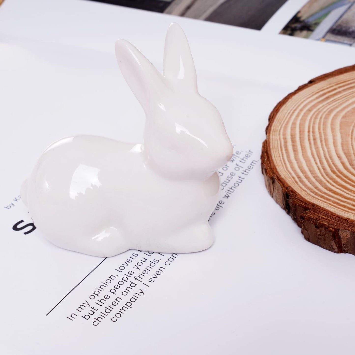 Rthjsfj White Ceramic Easter Bunny Figurine Porcelain Rabbit Statue 3.74x1.89"