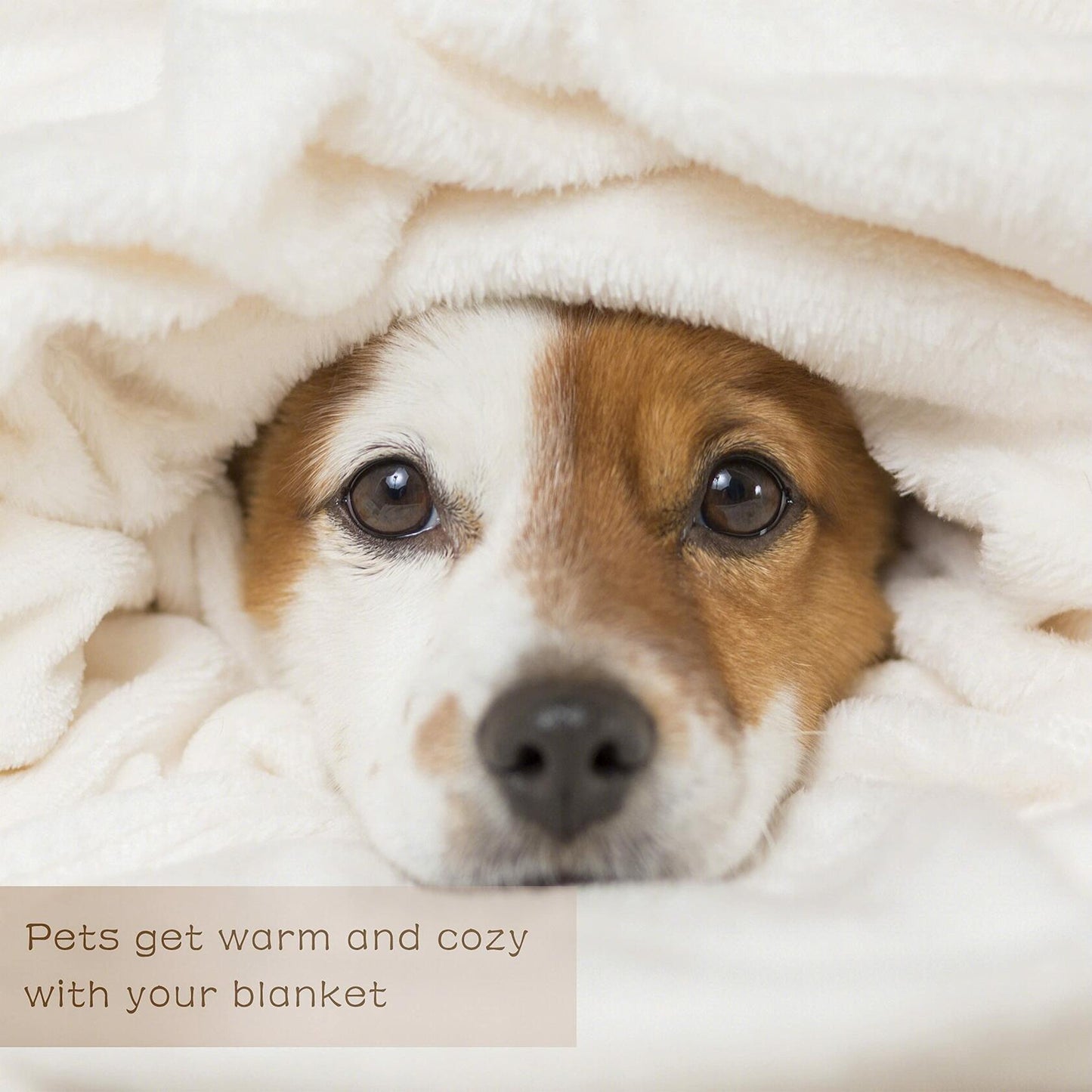 Just a Girl Who Loves Foxes Blanket Warm Soft Throw 40x50 Kids