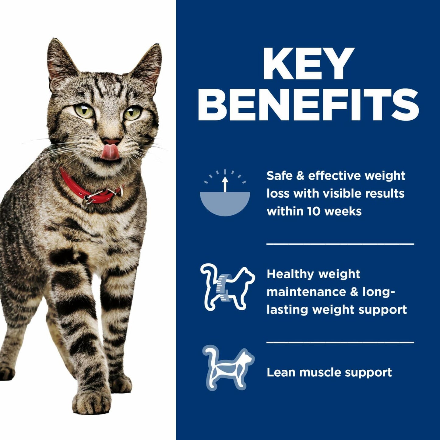 Hill's Science Diet Adult 1-6 Perfect Weight Wet Cat Food Variety 12-Pack